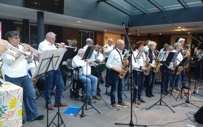 Live bij de Begonia&rsquo;s